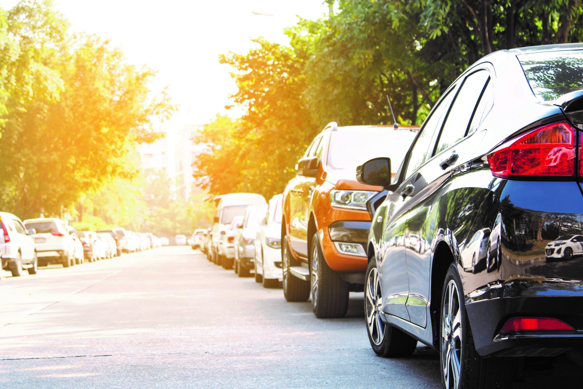 Cars parked along a nice street